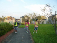 �e���p�g���[��