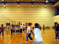 �e���p�g���[��