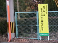 �̂��݂��q