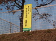 ���ԂȂ��ځ@��錈�ߎ�͒n�����̖�